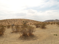 Enlarge photo 34