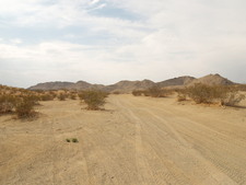 Enlarge photo 35