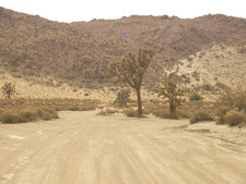 Enlarge photo 40