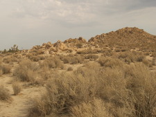 Enlarge photo 41