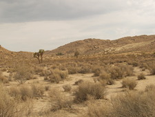 Enlarge photo 42