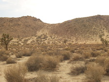 Enlarge photo 43