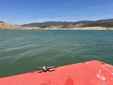 Enlarge photo 24