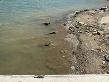 Enlarge photo 26