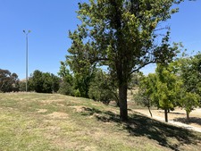 Enlarge photo 35