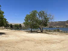 Enlarge photo 42