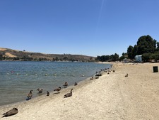 Enlarge photo 43