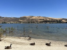 Enlarge photo 44