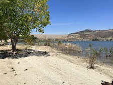 Enlarge photo 45