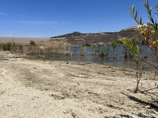Enlarge photo 46