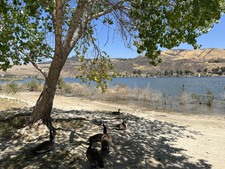 Enlarge photo 47