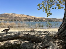 Enlarge photo 49