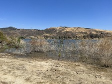 Enlarge photo 52