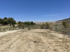 Enlarge photo 53