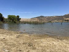 Enlarge photo 62