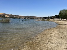 Enlarge photo 63