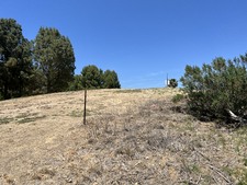 Enlarge photo 72