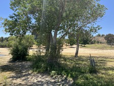 Enlarge photo 74