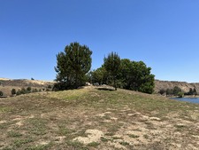 Enlarge photo 79