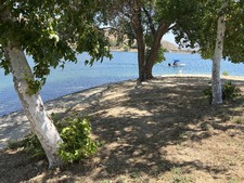 Enlarge photo 83
