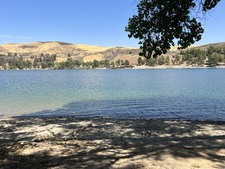 Enlarge photo 85