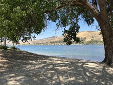Enlarge photo 93