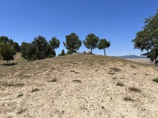 Enlarge photo 96
