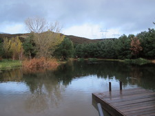 Disney Ranch (Pine Lake)