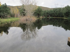 Enlarge photo 2