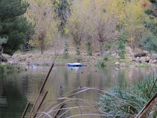 Enlarge photo 3