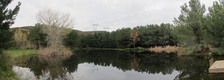 Enlarge photo 8