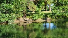 Enlarge photo 3