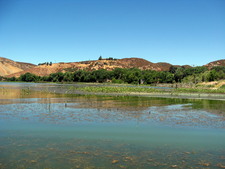 Enlarge photo 8
