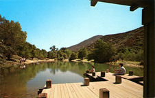 Enlarge photo 6