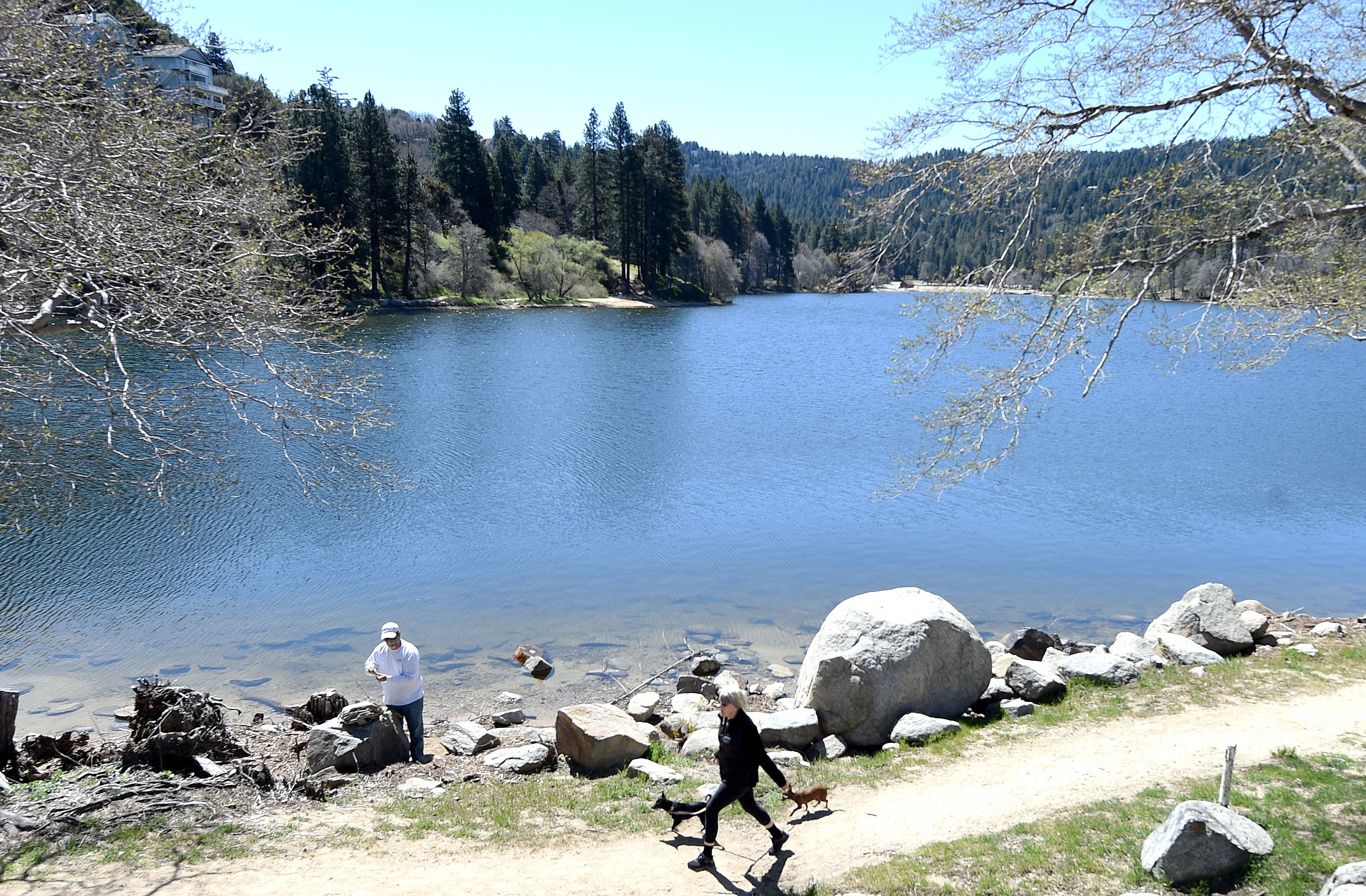 Enlarge photo 11