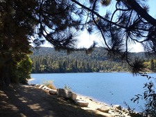 Enlarge photo 12