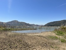 Enlarge photo 28
