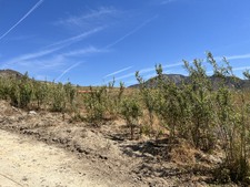 Enlarge photo 32