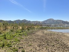Enlarge photo 33
