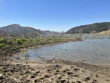 Enlarge photo 35