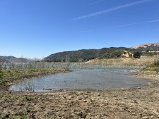 Enlarge photo 36