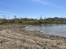 Enlarge photo 39