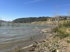 Enlarge photo 40