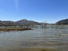 Enlarge photo 41
