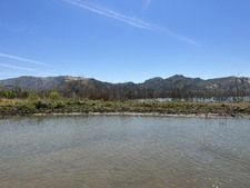 Enlarge photo 42