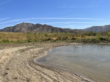 Enlarge photo 43
