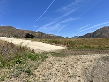 Enlarge photo 44