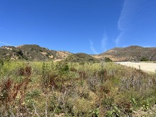 Enlarge photo 45