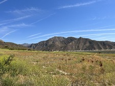 Enlarge photo 49