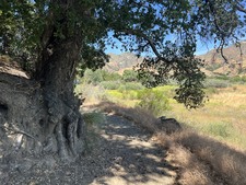 Enlarge photo 57